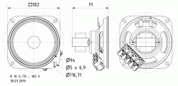 R 10 S-TR - 100 V