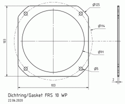Dichtring FRS 10 WP